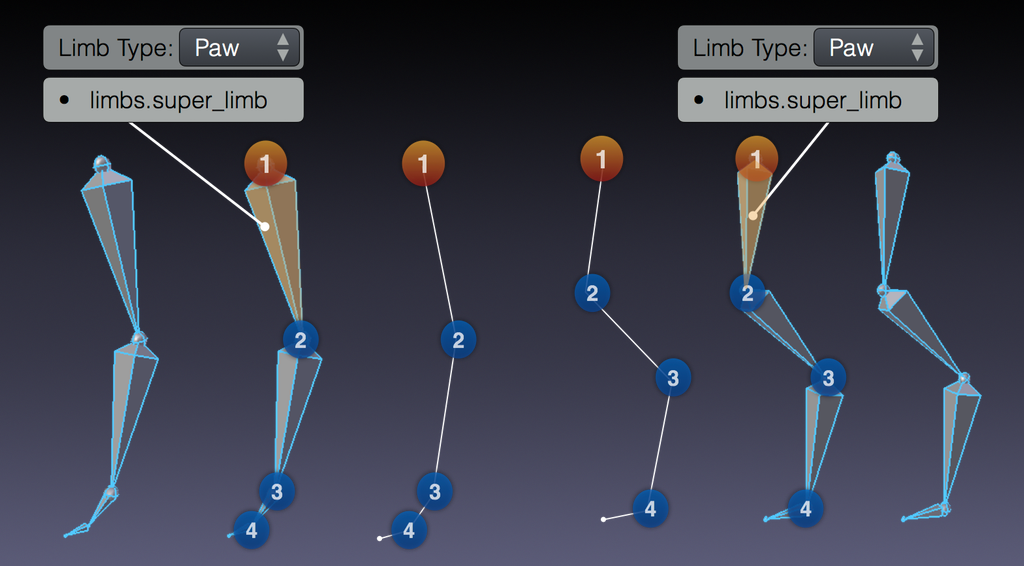 ../../../_images/addons_rigging_rigify_rig-types_limbs_paw-required.png
