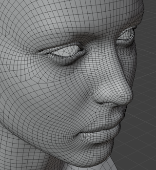 ../../../../_images/modeling_meshes_editing_face_triangles-quads_after.png
