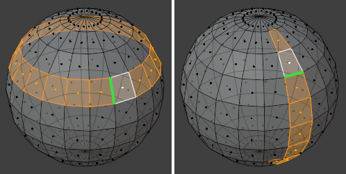 ../../../_images/modeling_meshes_selecting_loops_face-loops.png